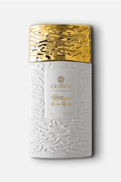 MY WAY GIORGO ARMANI 3132 CHOGAN